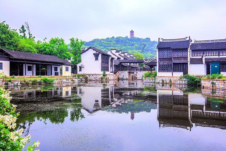 冷知识分享平台-为什么我的男朋友越来越冷淡?| 每天为你揭秘新奇冷知识