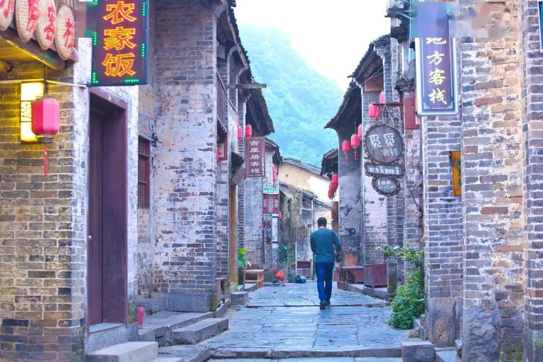 机智问答网页-聪明解答